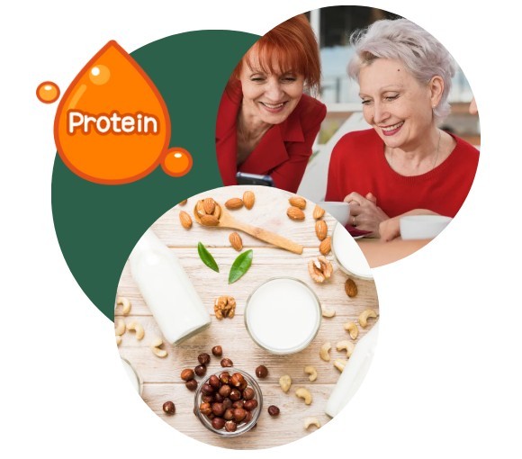 Proteinversorgung für Frauen 50+